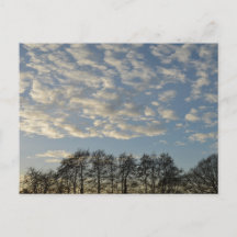Céu de inverno