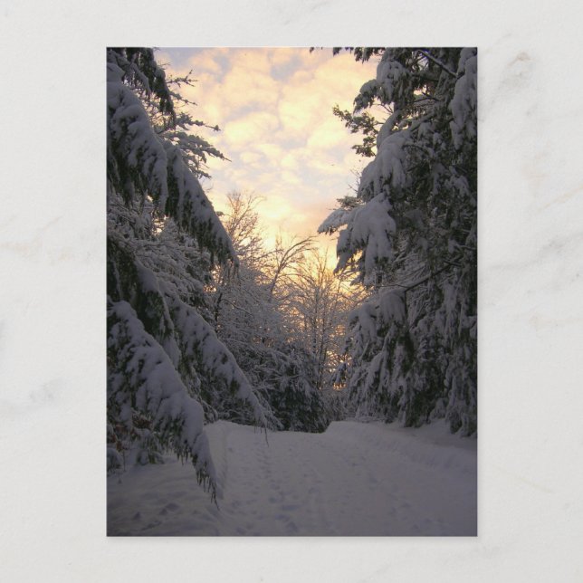 Cartão Postal Céu de inverno (Frente)