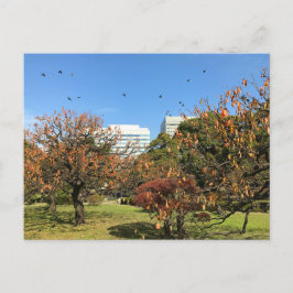 Cartão Postal Céu de outono nostálgico