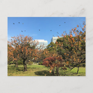 Cartão Postal Céu de outono nostálgico