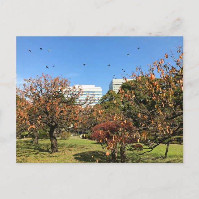 Cartão Postal Céu de outono nostálgico (Frente)