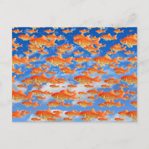Cartão Postal Céu do peixe dourado