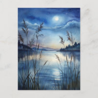 Céu Estrelado Noturno Lago Iluminado pela Lua Pací