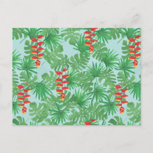 Cartão Postal Céu Selvagem