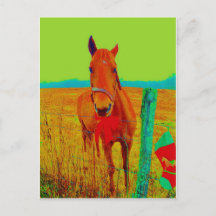 Céu verde, Cavalo arco vermelho : adicione nome
