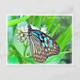 Cartão Postal Ceylon Blue Glassy Tiger