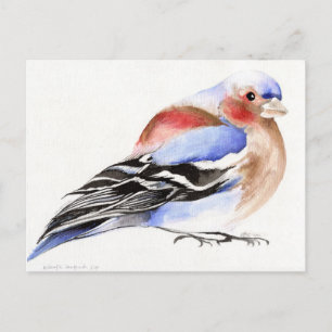 Cartão Postal Chaffinch colorido 2011