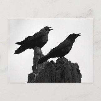 Cartão Postal Chamada à Noite