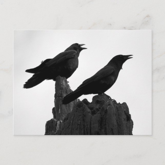 Cartão Postal Chamada à Noite (Frente)