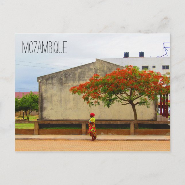 Cartão Postal chamariz moçambique (Frente)