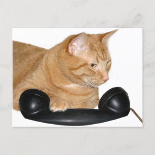 Cartão Postal Chame-me