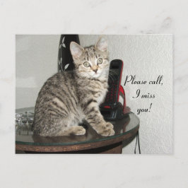 Cartão Postal Chame o Gatinho