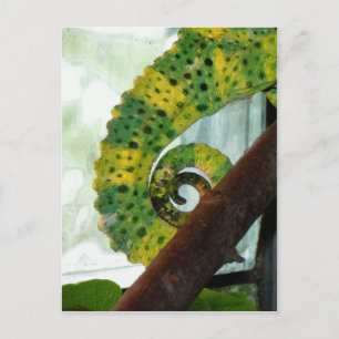 Cartão Postal Chameleon Tail
