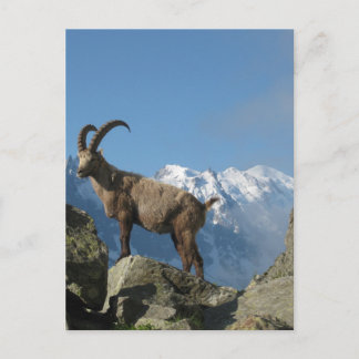 Cartão Postal Chamonix