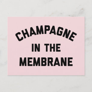 Cartão Postal Champagne Membrane Funny Cote