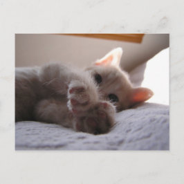 Cartão Postal Chandler