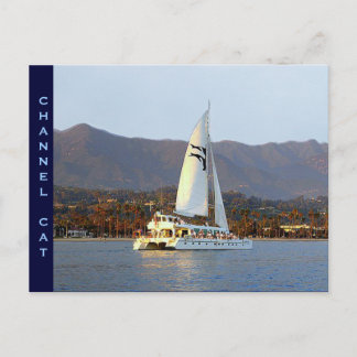 Cartão Postal Channel Cat no Sunset