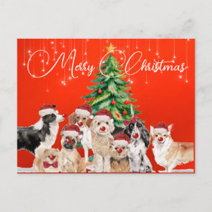 Cartão Postal Chapéu de Papai Noel Alegre Amantes de Cães Férias