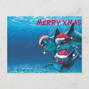 Cartão Postal Chapéu de Papai Noel de Golfinho Natal Divertido