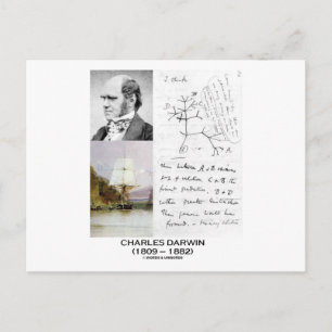 Cartão Postal Charles Darwin (Darwin HMS Beagle Phylogenetics)