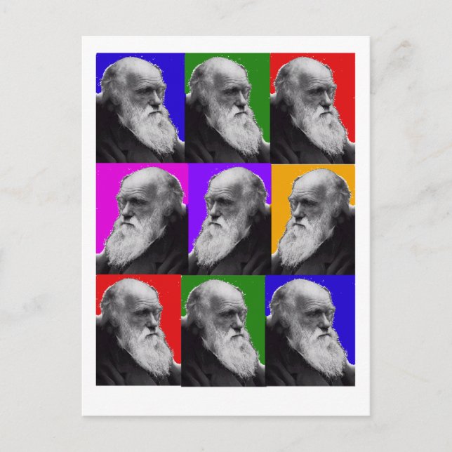 Cartão Postal Charles Darwin POP ART - Camisa e presentes (Frente)