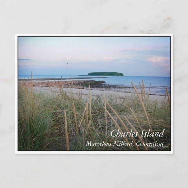 Cartão Postal Charles Island (Frente)