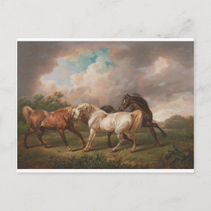 Cartão Postal Charles Towne Art Painting Oil Horses Destinage
