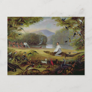 Cartão Postal Charles Waterton capturando um cayman, 1825-26