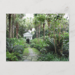 Cartão postal Charleston SC Palmettos Garden & Gaz