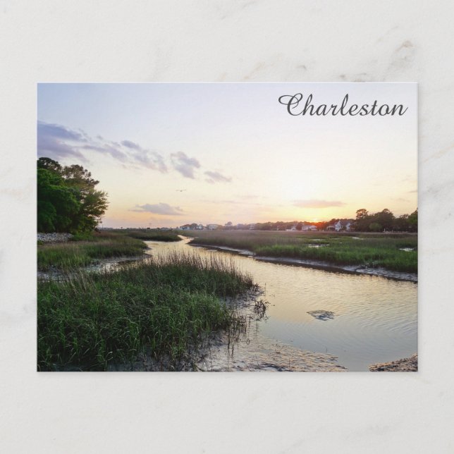 Cartão Postal Charleston South Carolina Low Country Viagem Photo (Frente)