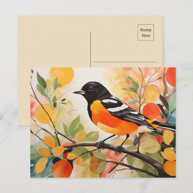 Cartão Postal Charm Bird Baltimore Oriole, da Springtime Nature (Frente/Verso)