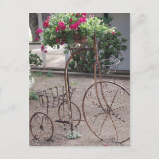 Cartão Postal Charme de jardim