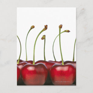 Cartão Postal Charries baleados no primeiro plano do