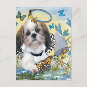 Cartão Postal Chaser Chaser Chaser Cards Shih Tzu