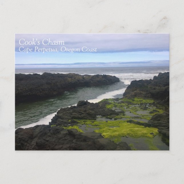 Cartão Postal Chasm de Cook, Cabo Perpétua, OR (Frente)
