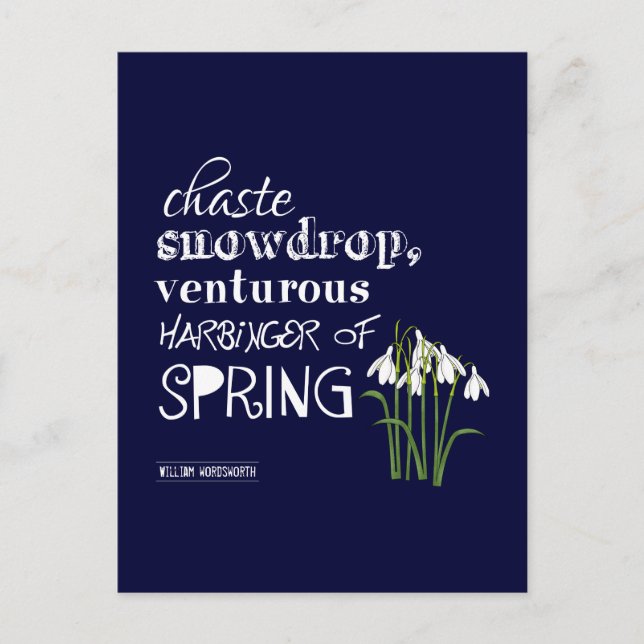 Cartão Postal Chaste Snowdrop, Venturous Harbinger de Primavera (Frente)