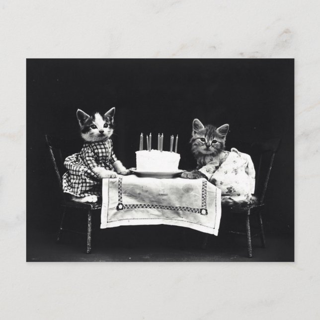 Cartão Postal Chatons anniversaire vintage (Frente)