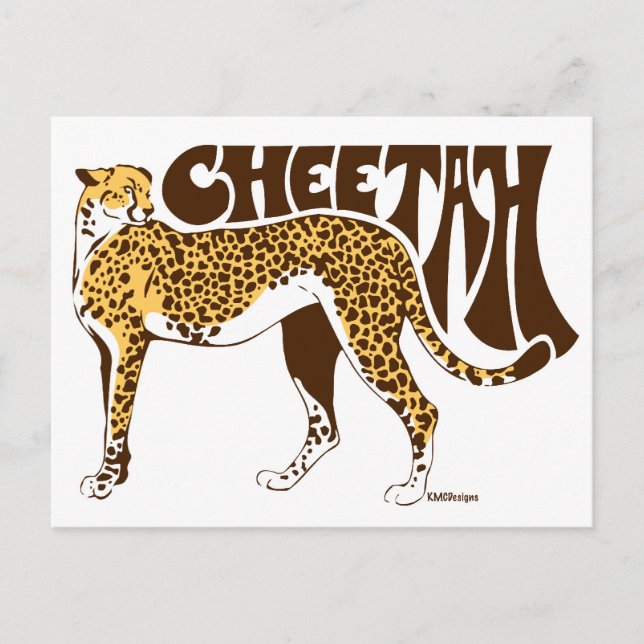 Cartão Postal Cheetah (Frente)