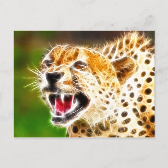 Cartão Postal Cheetah (Frente)