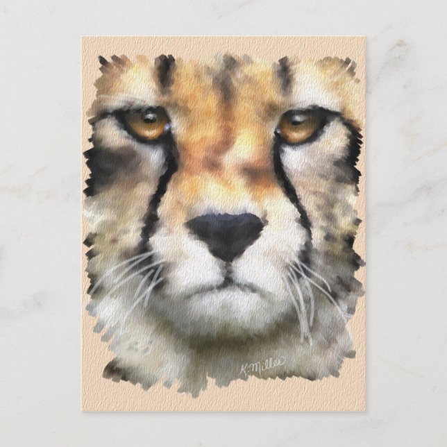 Cartão Postal Cheetah (Frente)