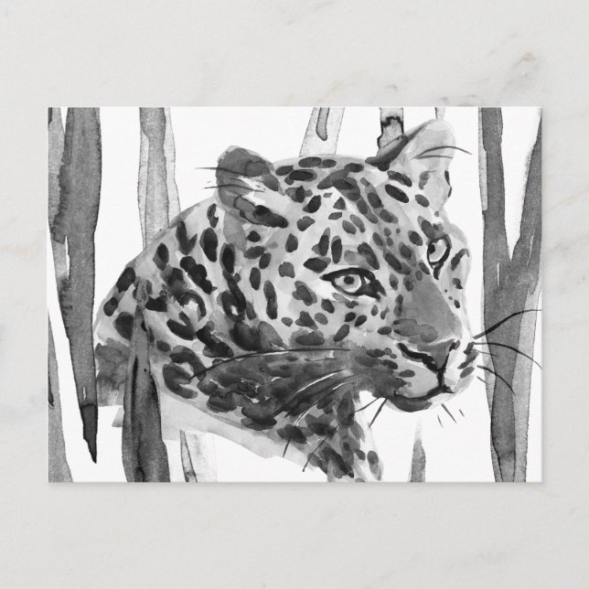 Cartão Postal Cheetah Portrait (Frente)