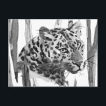 Cartão Postal Cheetah Portrait<br><div class="desc">Ainda é Cat II de Annie Warren. Esta arte apresenta um belo retrato de aquarela preto-e-branco de um guepardo. | 164413Z</div>