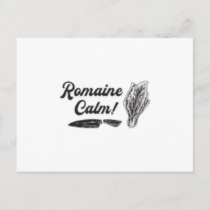Cartão Postal Chef Cook Cozinhar Cuisine Romaine Calm Funny Gift