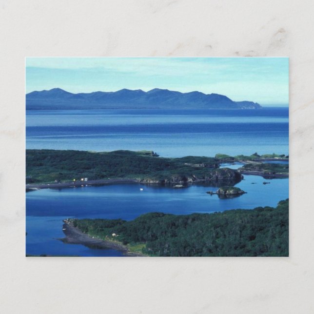 Cartão Postal Chefe Cove Kodiak (Frente)