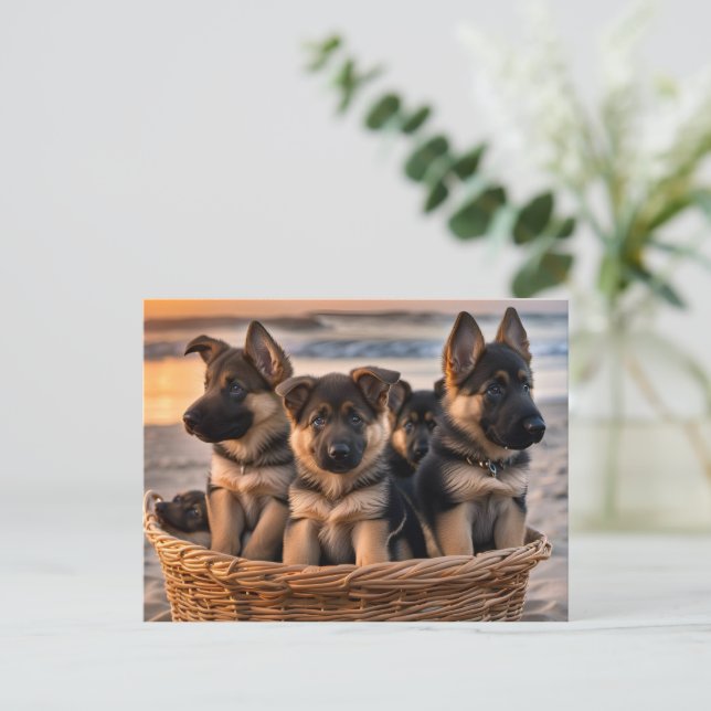 Cartão Postal Cheio de cesto de estuppias de German shepherd (Em pé/Frente)