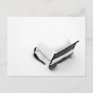 Cartão Postal Cheio De Neve Vintage Metal Lawn