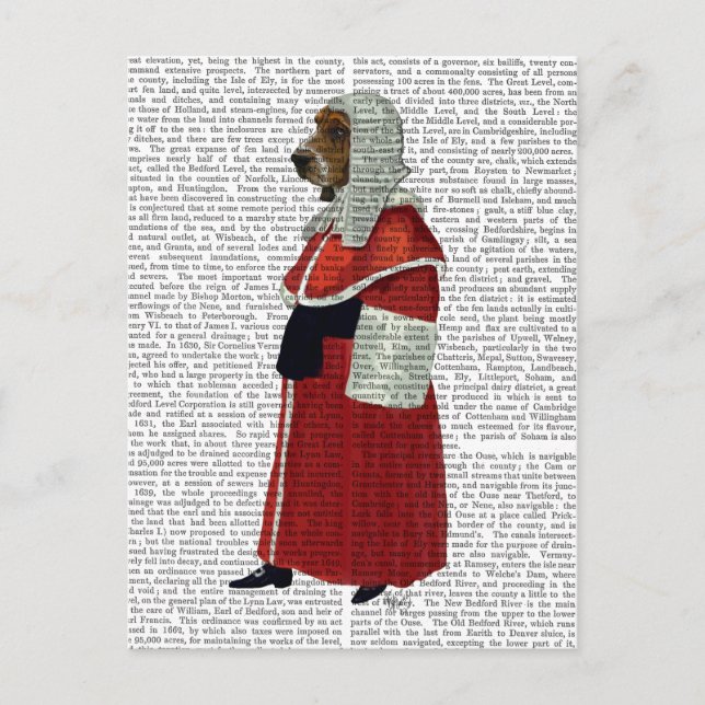 Cartão Postal Cheio do Juíza do Hound Basset (Frente)