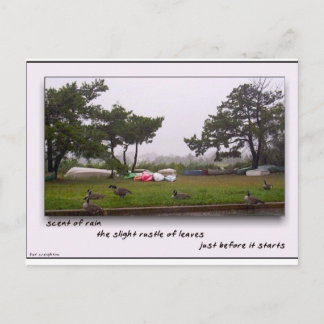 Cartão Postal Cheiro de chuva