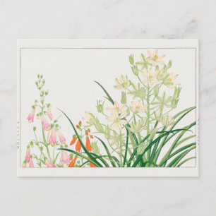 Cartão Postal Chelone barbata, Ornithogalum por Tanigami Konan