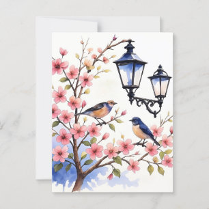 Cartão Postal Cherry Blossom